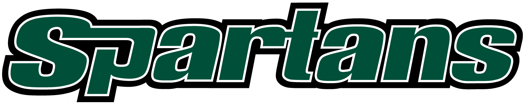 USC Upstate Spartans 2003-2010 Wordmark Logo 04 iron on paper